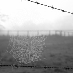 SHIFTY CITY (Original Song)