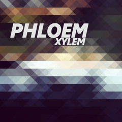 Xylem (Original Mix) [UNRELEASED]
