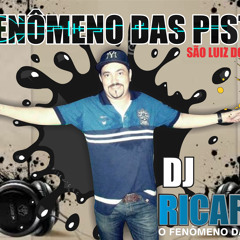 DJ RICARDO O FENÔMENO DAS PISTAS
