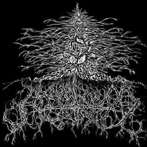 argentinum-astrum-i