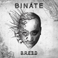 BINATE - B.R.E.E.D & UNBOUND (Out on Muti Music)