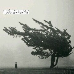 بندر مدخلي
