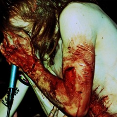 Lifelover - Vardagsnytt (Bass cover)