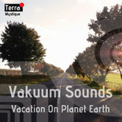 Vakuum Sounds (Live)/ Antaris 2013 Ambient Area