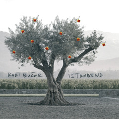 Rudi Bučar & Istrabend - Naj traja