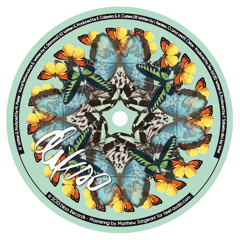 Jay West - So Right [DIKSO] 12" Preview (Lo Fi)