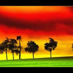 Rebelution And Mac Miller - Sky Is The Limit (Andy-V Mash-up)