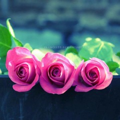 بناء على رغبتك