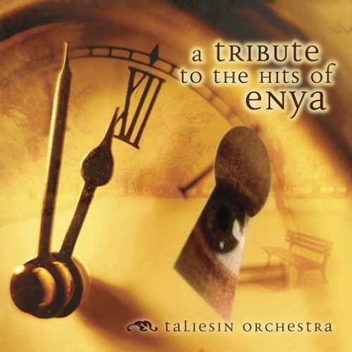 The Taliesin Orchestra-A Tribute to the Hits of Enya - Anywhere Is