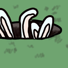 Rabbit Hunt Set 19/08