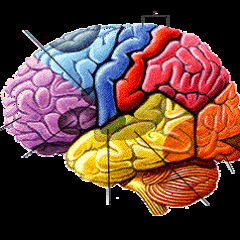 BRAIN CAVITY FT. BEWARE ( FREE DOWNLOAD RAP)