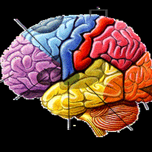 BRAIN CAVITY FT. BEWARE ( FREE DOWNLOAD RAP)