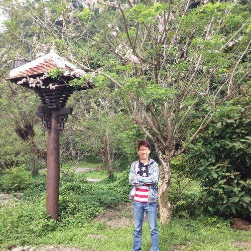 Đường Xưa- Mỹ Tâm