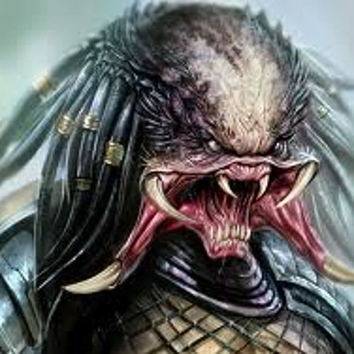Predator