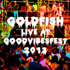 DJ Goldfish Live at Good Vibes Festival 17-8-2013