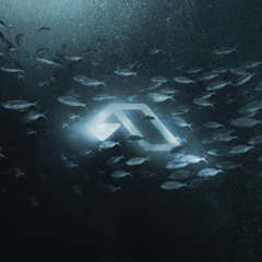 Anjunadeep Releases 2013