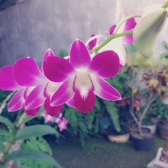 Jungle Fish 2 OST Jiyeon - Little by Little (Acoustic Ver)