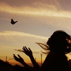 Fly Away