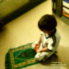 Sheikh