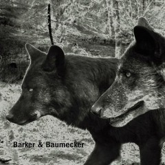 Barker & Baumecker - Spur