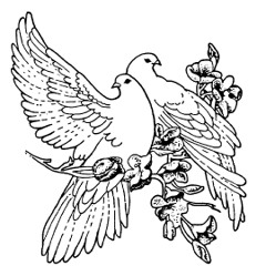 Backyard - Two Doves (live)