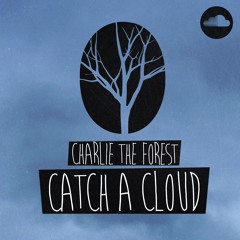 Catch A Cloud