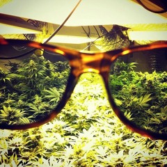 BUSCANDO QUIEN ERAS - YERBASTIAN