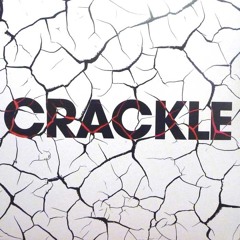 Animal Youth - Crackle (Stoddlez Trap Remix)