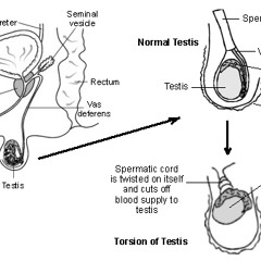 Tricknology - Live at Music Room