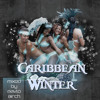 2013 Dancehall party mix – Newest Caribbean and Soca riddims / Caribbean Winter / Pavlo Birch