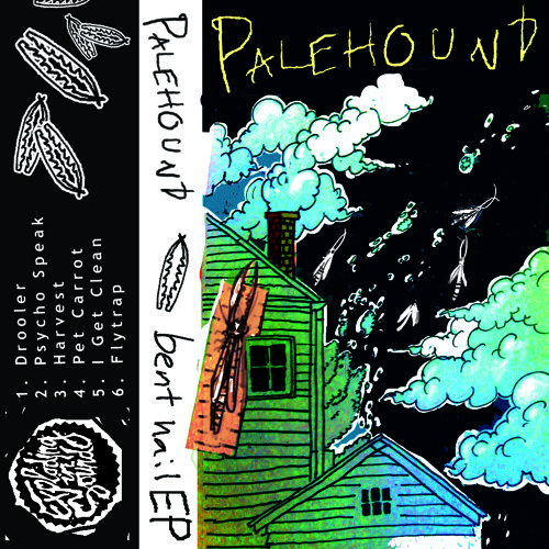 Palehound - Pet Carrot