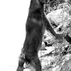 ritual preservation(prayer)