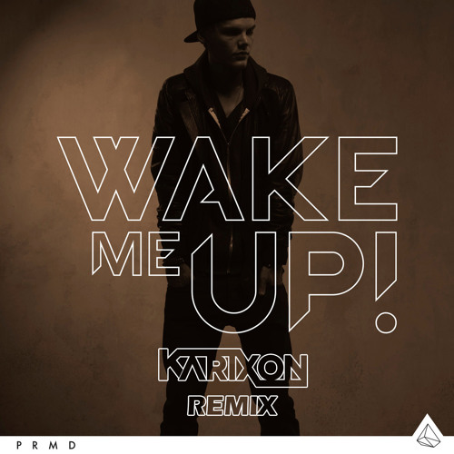 Avicii - Wake Me Up (Karixon Remix)