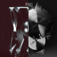 Boys Noize - XTC (NOZE Remix) vs. Boys Noize - What You Want (Boylerz Remix) [Wip 01]