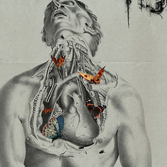 NECIO CORAZON FREEDOM SQUAD