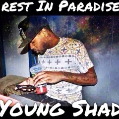Young Shad - Guilty Pleasure