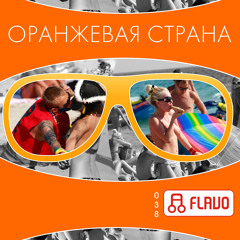 Dj Boyko & Sound Shocking - Оранжевая страна (original mix)