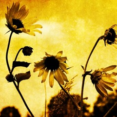 I'd Rather Go Blind by Hannah Huston ft. Anthony Slattery (Etta James Cover):Embark! Live Recordings