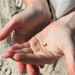 Smiltynė Beach - Amber-song (Gabija)