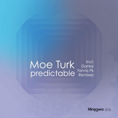 Moe Turk - Predictable (Danke Remix) [OUT NOW!]