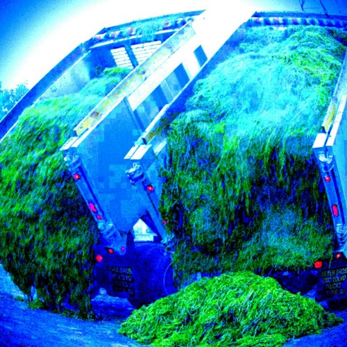 Forrest Fyre (produced by Herb Green)