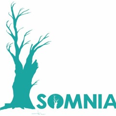 No testament  - W. Mertens