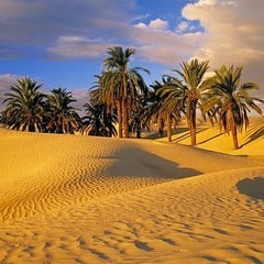سعاد -  أديب الدايخ