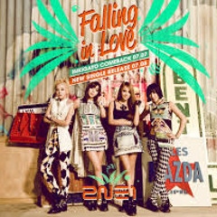 2NE1 FALLING IN LOVE 김동욱 & vonikk remix
