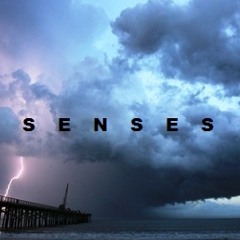 Senses (Preview)