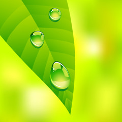 Scott Lowe - Pearly Dew Drops (Long Version)