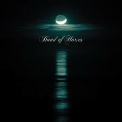 [x] The Funeral - Band Of Horses (Remix)