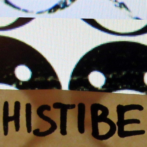 Histibe - 3013 (Intro) (snippet)