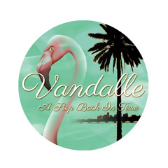 Vandalle - 80's Crime
