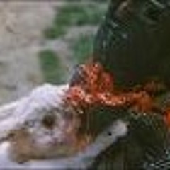 Evitando El Ablande(Hermetica)